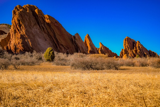 roxborough-park-kaiser-permanente-counse-640x480-45526578.jpeg