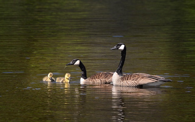 sloans-lake-kaiser-family-counselor-640x480-71082732.jpeg