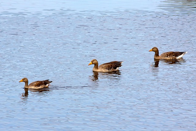 Personalized Parenting Support Through Sloan’s Lake Kaiser Permanente Family Therapy