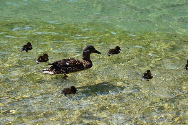 sloans-lake-kaiser-permanente-family-cou-640x480-5483873.jpeg