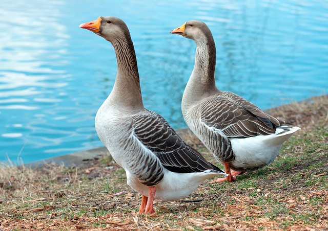 Sloan’s Lake Kaiser Permanente Psychologists: Unlocking Continuous Mental Wellness
