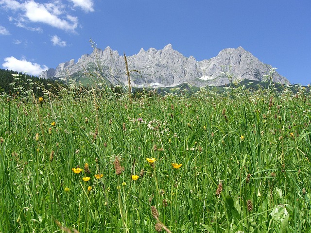 sloans-lake-kaiser-permanente-psychologi-640x480-98342369.jpeg