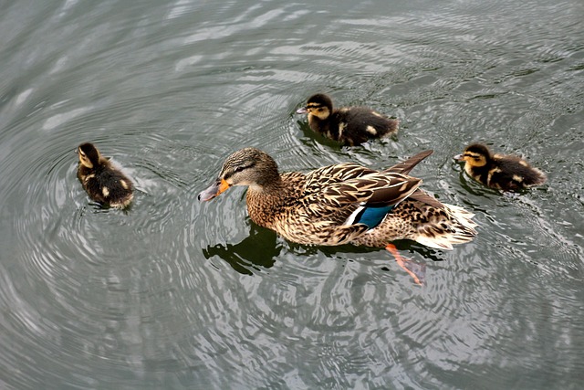 southmoor-park-kaiser-permanente-family-640x480-87598316.jpeg