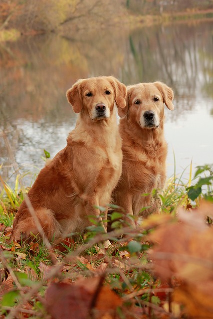 twin-lakes-kaiser-psychologist-640x480-95239565.jpeg