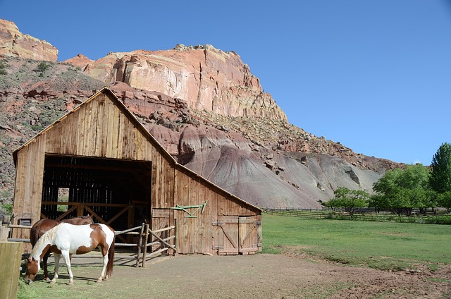 utah-park-kaiser-counselor-640x480-88266321.jpeg