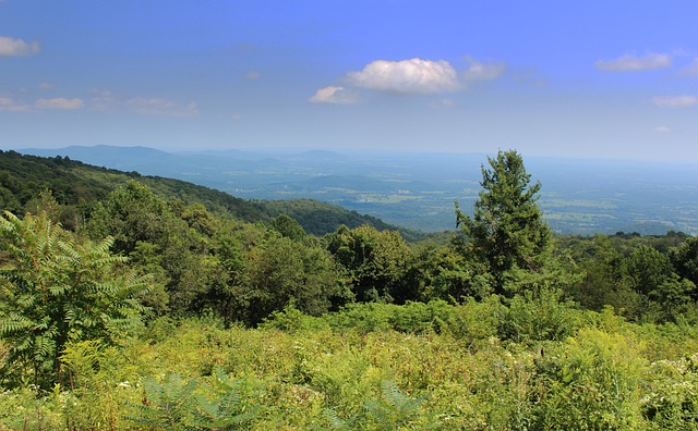 virginia-village-kaiser-psychologist-640x480-16337682.jpeg