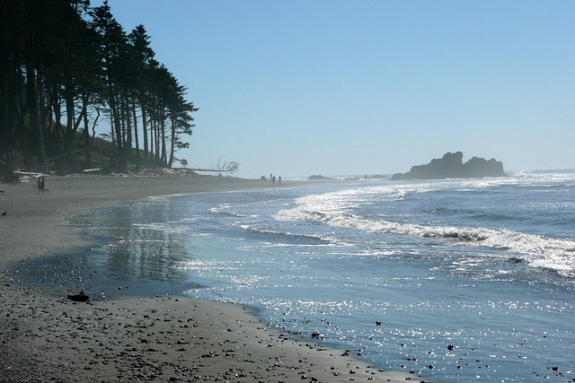 Work Stress Relief: Washington Park Kaiser Counselor’s Guide to Resilience