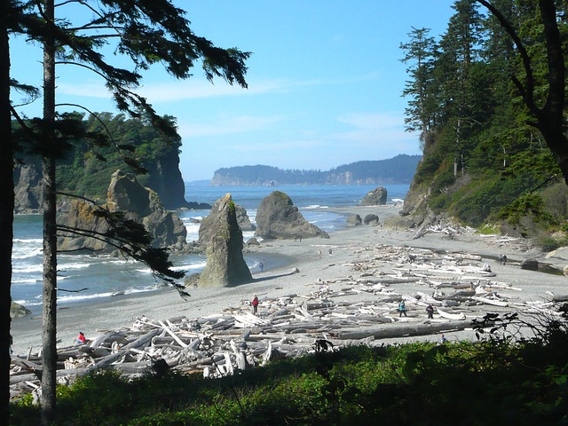 washington-park-kaiser-psychologist-640x480-89208089.jpeg