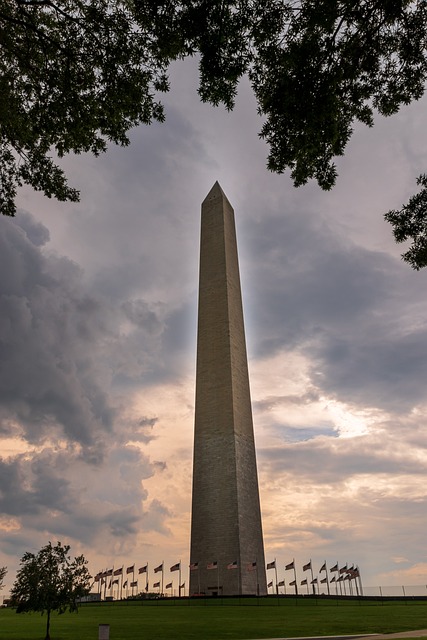 Accessing Mental Wellness Resources in Washington & Virginia Vale