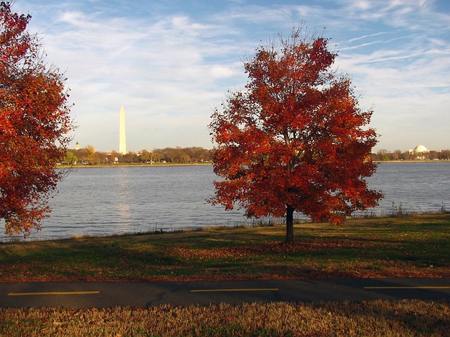 washington-virginia-vale-kaiser-psychoth-640x480-22087811.jpeg