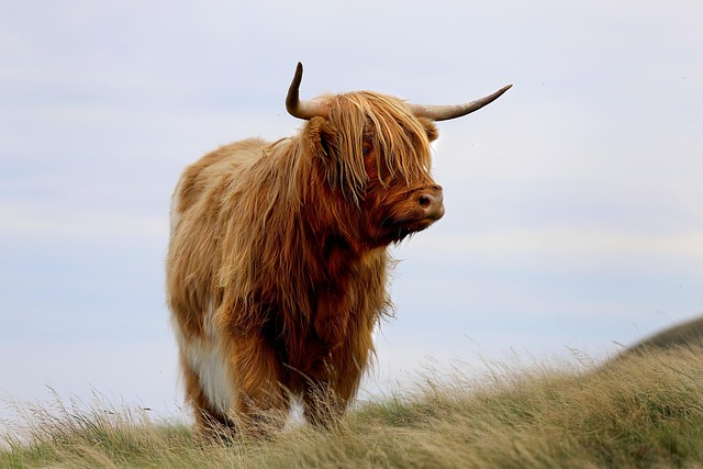 west-highland-kaiser-psychotherapist-640x480-80964770.jpeg
