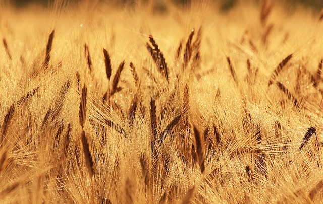 Discover Effective Depression Treatment Options with Wheat Ridge Kaiser Permanente Psychiatrists