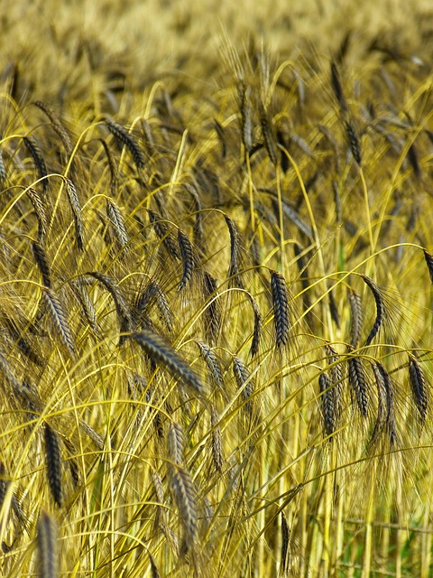 wheat-ridge-kaiser-permanente-psychiatri-640x480-68302778.jpeg