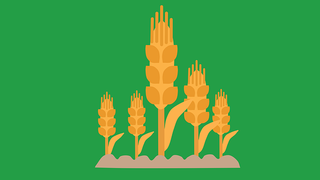 wheat-ridge-kaiser-permanente-psychologi-640x480-14696445.png