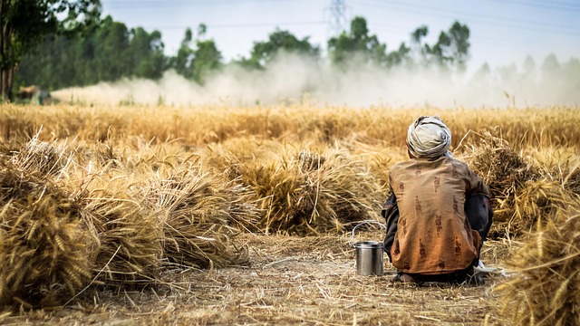 Local Trauma Healing: Resources from Wheat Ridge Kaiser Permanente Psychologists