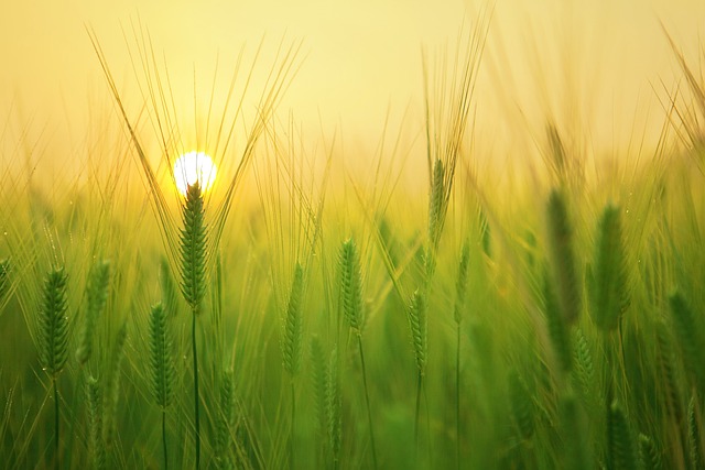 Unlock Well-being: Book with Wheat Ridge Kaiser Permanente Psychologist