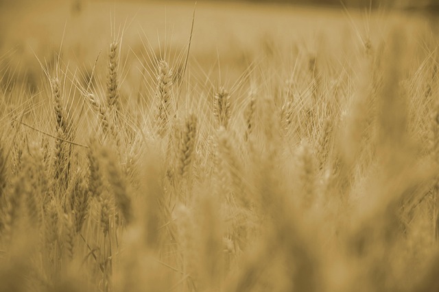 wheat-ridge-kaiser-permanente-psychologi-640x480-97708597.jpeg