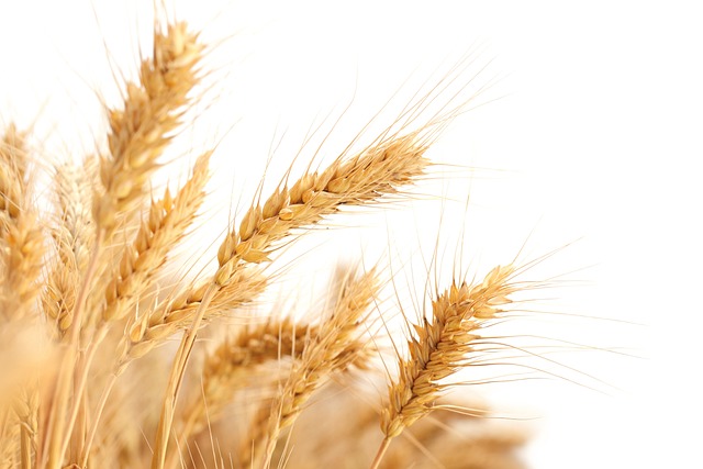 wheat-ridge-kaiser-permanente-psychother-640x480-37747688.jpeg