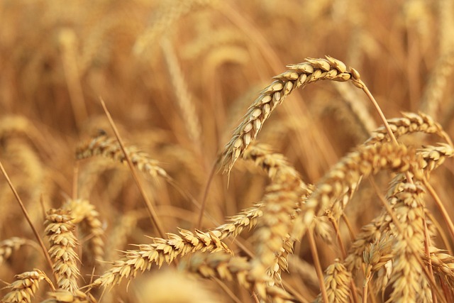 wheat-ridge-kaiser-permanente-psychother-640x480-69234158.jpeg