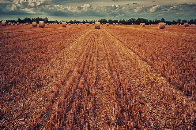 wheat-ridge-kaiser-psychotherapist-640x480-3646643.jpeg