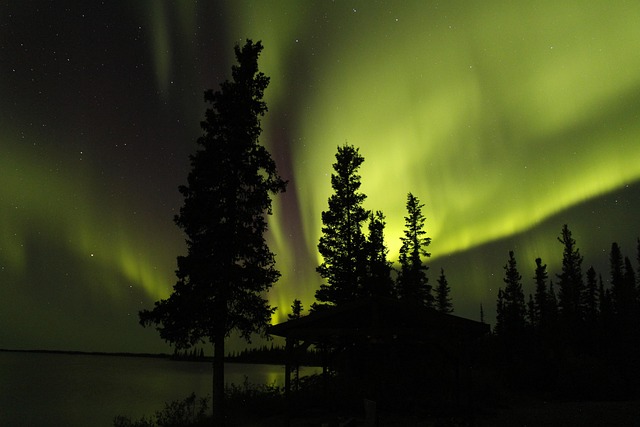 Book Aurora Hills Kaiser Counselor: Start Your Healing Journey
