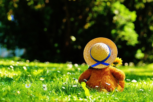Heal Long-Term with Bear Valley Kaiser Permanente Family Counselors