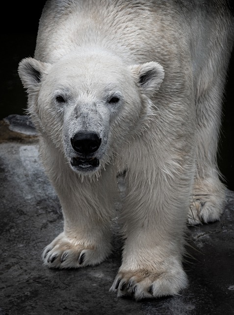 bear-valley-kaiser-permanente-psychother-640x480-64717964.jpeg