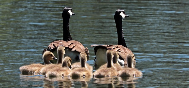 central-boulder-kaiser-family-counselor-640x480-79829388.jpeg