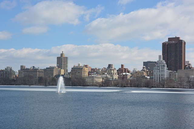Central Park, Kaiser Permanente, & Psychologist Tips for NYC Work-Life Balance