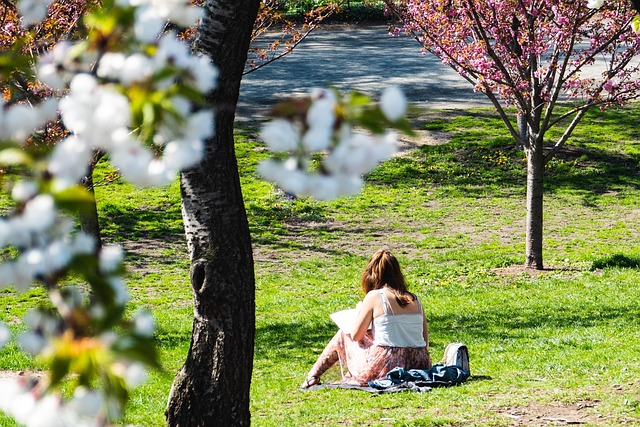 central-park-kaiser-permanente-psycholog-640x480-5423294.jpeg