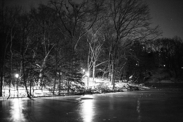 central-park-kaiser-psychotherapist-640x480-56828683.jpeg