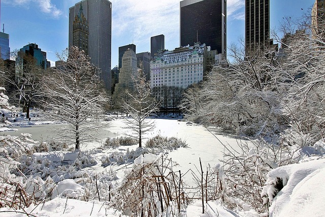 central-park-kaiser-psychotherapist-640x480-93828383.jpeg