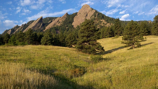 chautauqua-kaiser-permanente-psychologis-640x480-57337830.jpeg