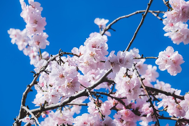 Cherry Creek Self-Care: Kaiser Insights for Busy Professionals