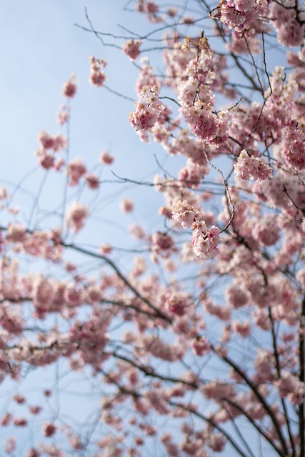 Transform Your Wellbeing: Book a Cherry Creek Kaiser Permanente Psychotherapist Session