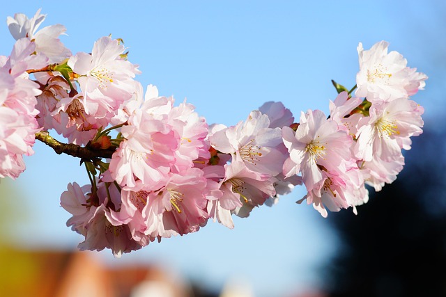 Boost Self-Esteem: Schedule Therapy Session in Cherry Creek
