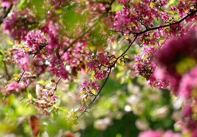 Personalized Therapy: Cherry Hills Village Kaiser Permanente Expertise