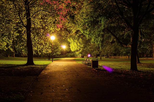 city-park-kaiser-permanente-psychotherap-640x480-21610387.jpeg