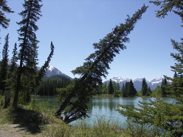city-park-west-kaiser-permanente-psychot-640x480-8667341.jpeg