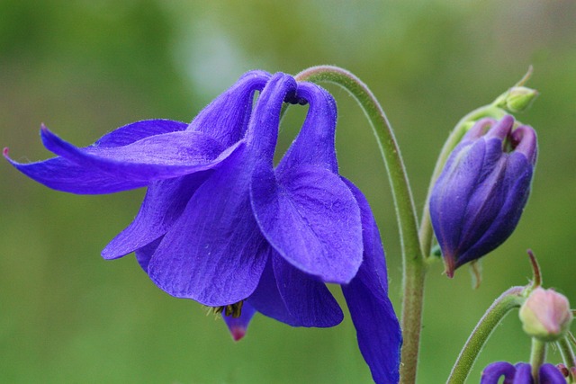 columbine-kaiser-child-psychologist-640x480-70989977.jpeg