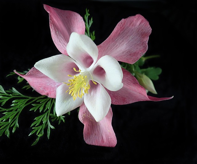 columbine-kaiser-permanente-family-couns-640x480-58292756.jpeg