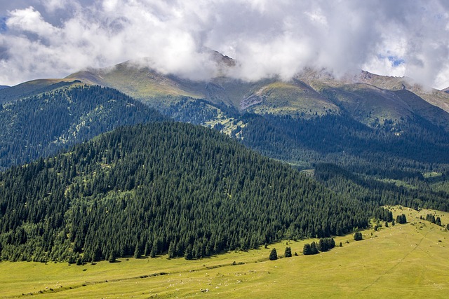 green-mountain-kaiser-permanente-family-640x480-83855820.jpeg