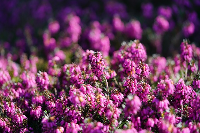 heather-gardens-kaiser-permanente-family-640x480-26448649.jpeg