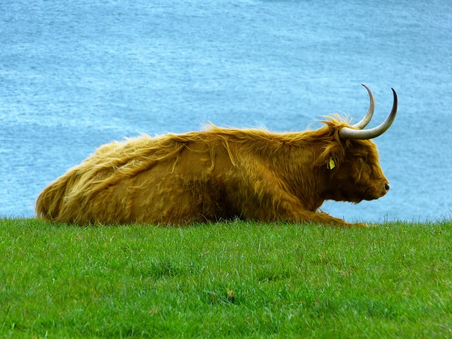 highlands-kaiser-psychotherapist-640x480-5749091.jpeg