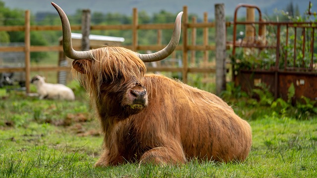 Unleash Recovery: Find Your Highlands Kaiser Psychotherapist