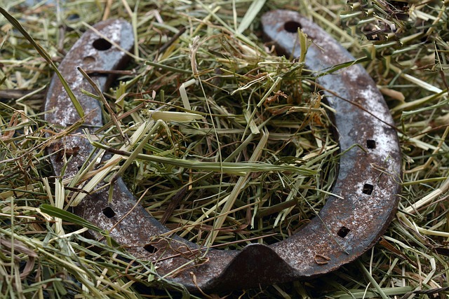 horseshoe-park-kaiser-marriage-or-relati-640x480-25336766.jpeg
