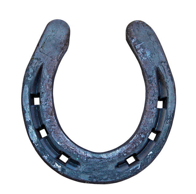 horseshoe-park-kaiser-marriage-or-relati-640x480-6882146.png