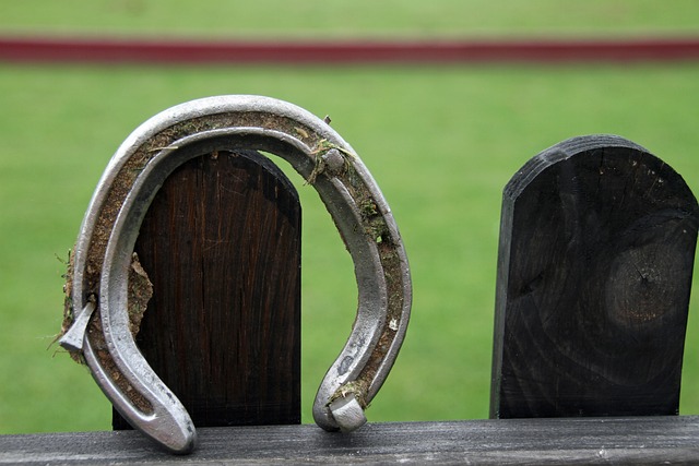 Find Certified Psychotherapists at Kaiser Horseshoe Park