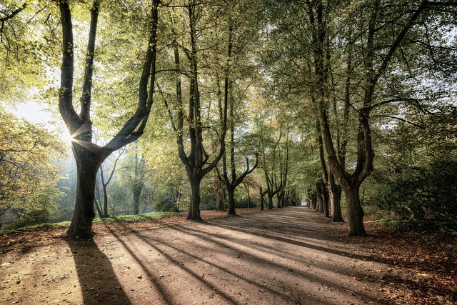 Discover Holistic Therapy in Jefferson Park at Kaiser Permanente