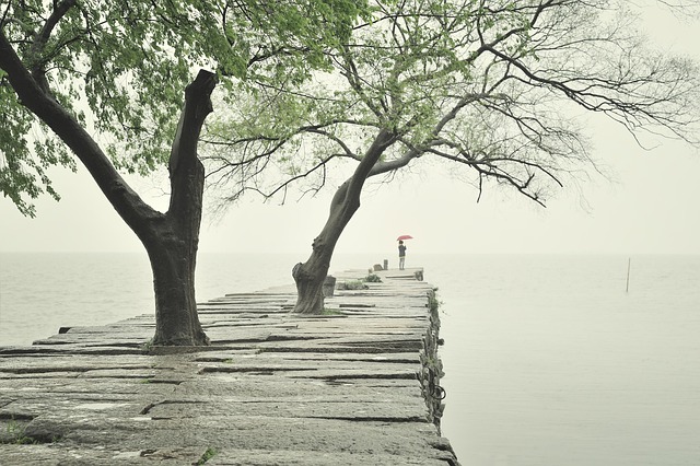 Lakeside KP Psychiatrist: Healing PTSD with Innovative Care